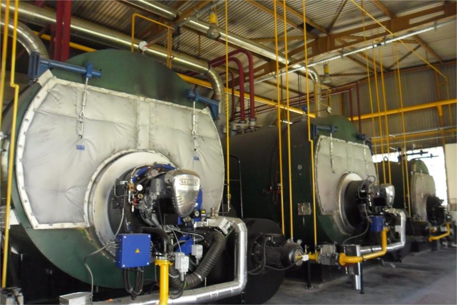 Heineken Croatia- foto 6 Heineken Croatia- foto 6